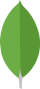mongodb icon